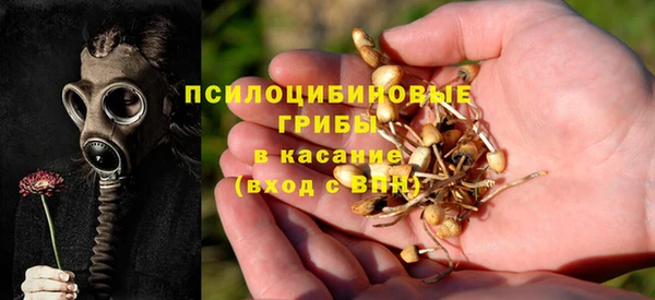 соль курить ск Пересвет
