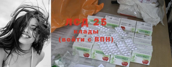 ПСИЛОЦИБИНОВЫЕ ГРИБЫ Переславль-Залесский