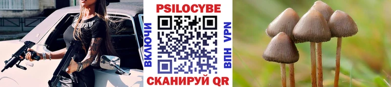 Псилоцибиновые грибы мицелий Солигалич